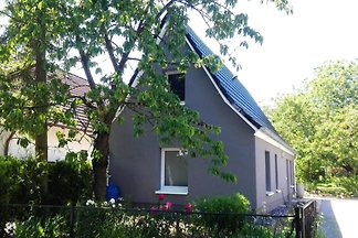Ferienhäuschen in Hafennähe