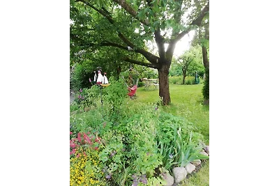 Ferienhäuschen in Hafennähe