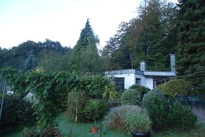 Ferienhaus Waldblick