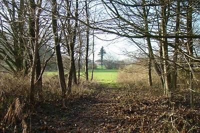 Fährhaus Fischerhütte Backbord