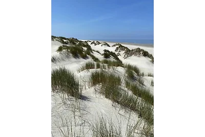 West Aleta