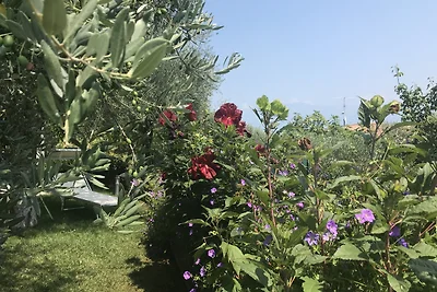 Giardini di Vigna - Vigne 4