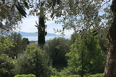 Giardini di Vigna - Vigne 4