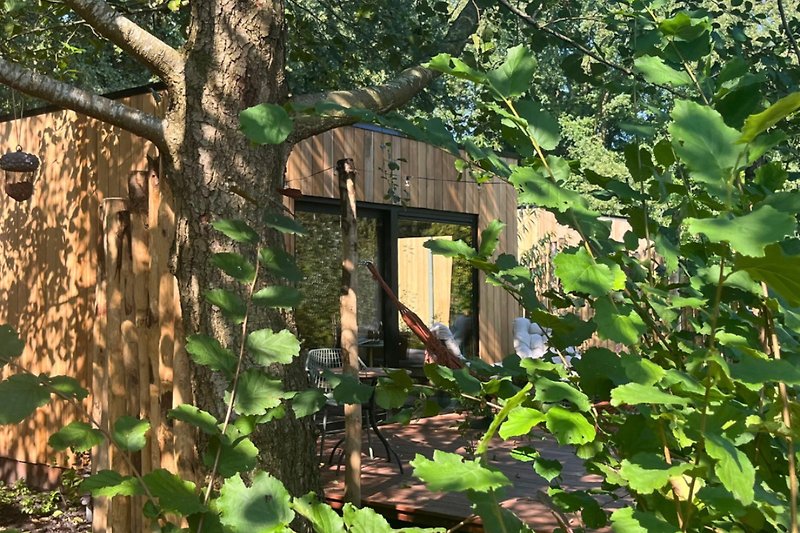 Holzschuppen im schattigen Garten mit grüner Vegetation.