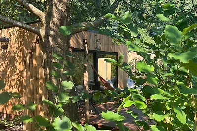 Natuurhuisjes Westerwolde