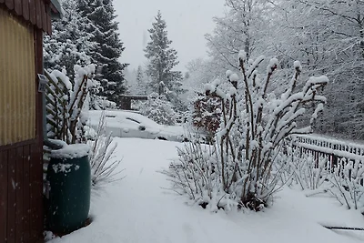 Ferienhaus Meisenring