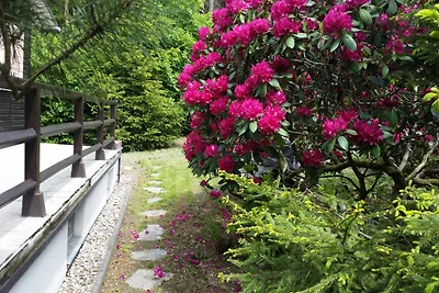 Ferienhaus Meisenring