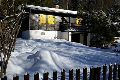 Ferienhaus Meisenring