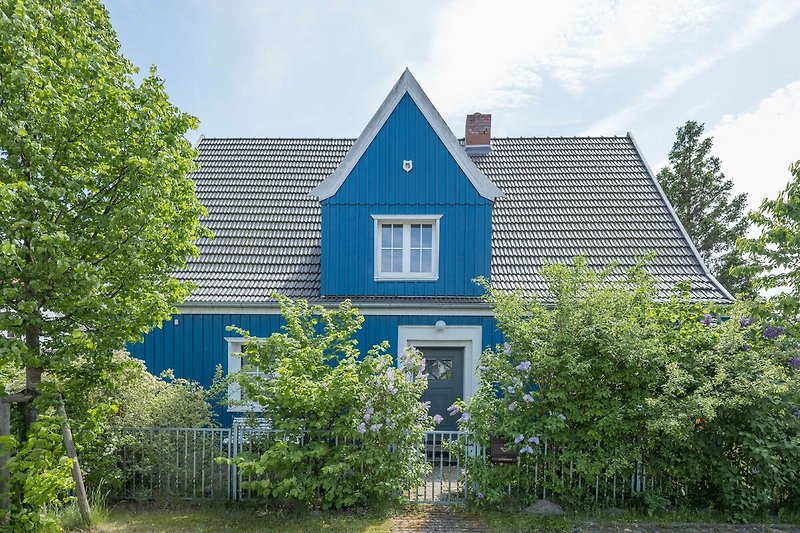 Charmantes Landhaus mit Garten, Bäumen und blühenden Sträuchern.