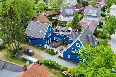 Das blaue Schwalbennest