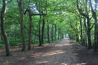 Ferienhaus Bos en Duin