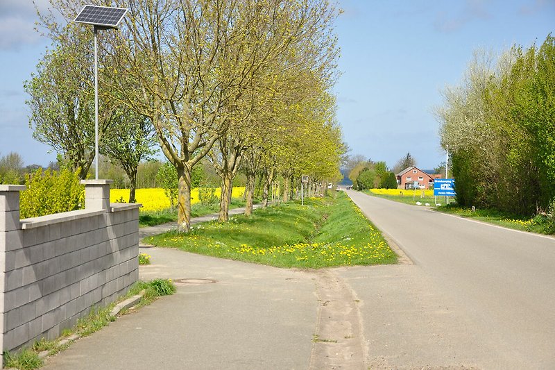 Strandstraße  mit Blick auf die Ostsee