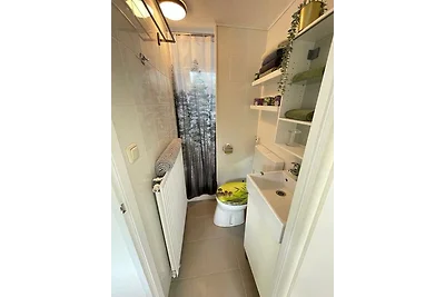 Tiny house met tuin op de Veluwe