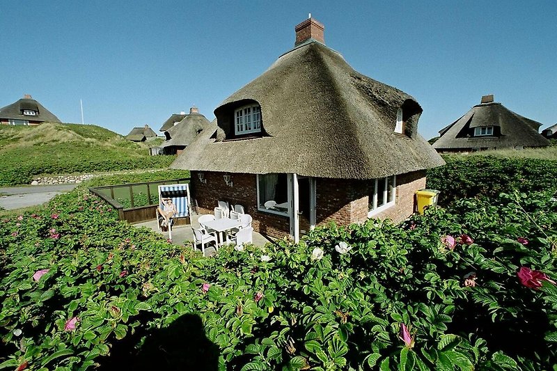 Charmantes Landhaus mit Reetdach und üppigem Garten.