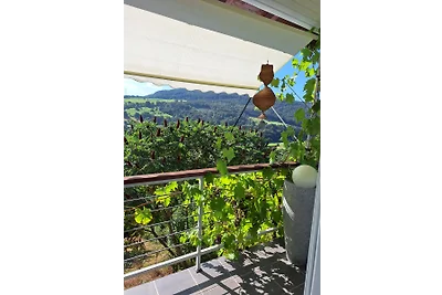 Schöne Aussichten