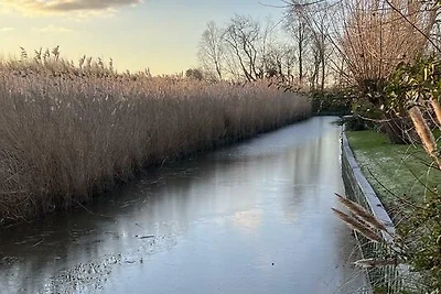 Paarlhof 40 (Condor), Groede