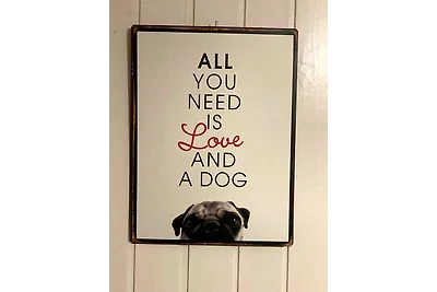 Schoneveld 177 (Duinroos), Breskens