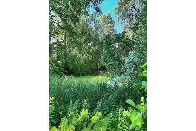 Paarlhof 18 (Kolibri), Groede