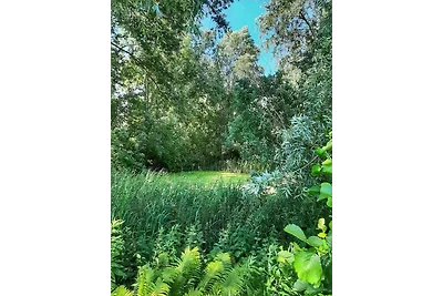 Paarlhof 18 (Kolibri), Groede