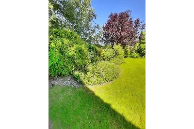 Paarlhof 18 (Kolibri), Groede