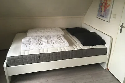 Schoneveld 146 (Zeemeeuw), Breskens