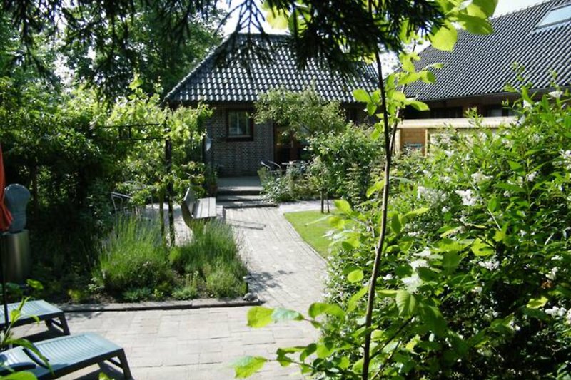 Charmanter Garten mit Bank, Bäumen und japanischer Architektur.