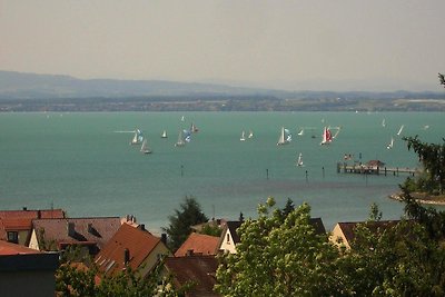 FeWo Sauer mit See- und Alpenblick