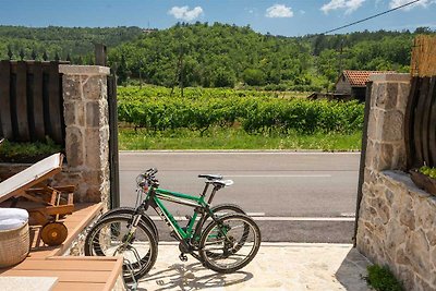 Villa Old House mit Pool, Whirlpool