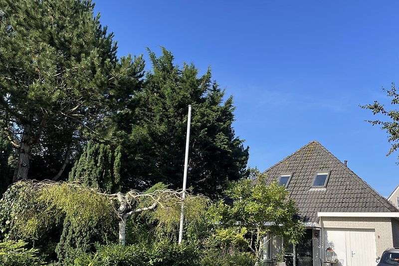 Gemütliches Ferienhaus mit Garten, Einfahrt und immergrünen Pflanzen.