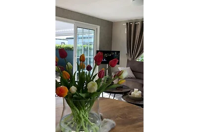 Ferien chalet Zwaan 1251 Camping Beach resort Julianahoeve Renesse