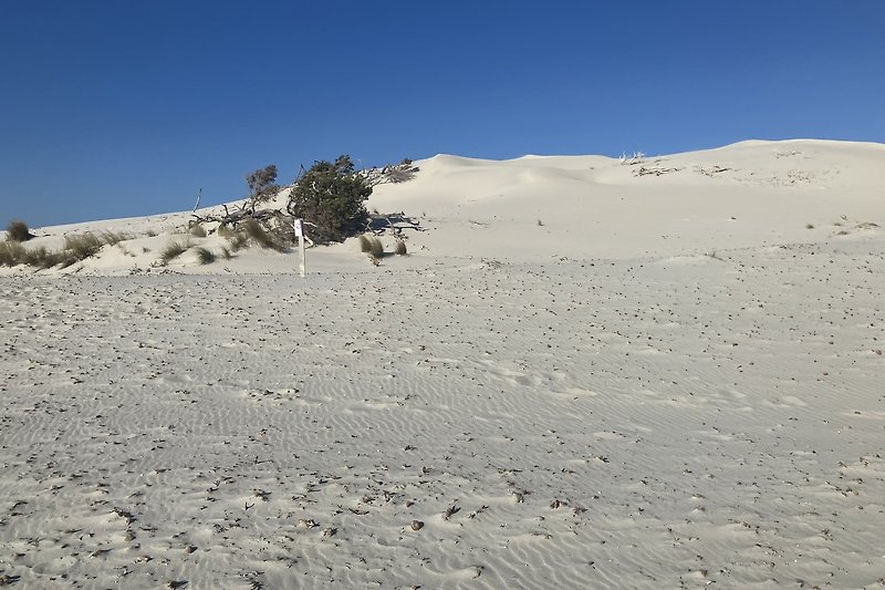 Dune di sabbia bianca