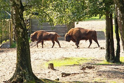 Falkenhäger Höh in Waren (Müritz)