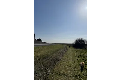 Dünenbutze St.Peter-Ording