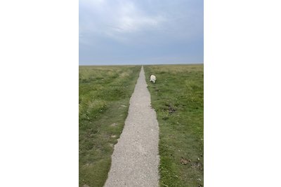 Dünenbutze St.Peter-Ording