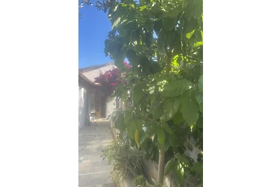 Casa TANA