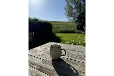 Ferienhaus " Pietje" am Ijsselmeer