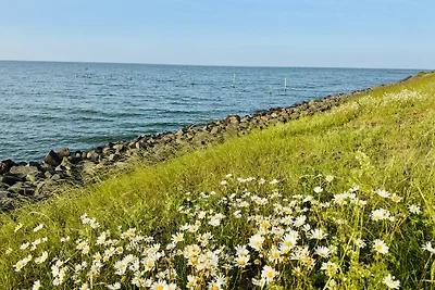 Ferienhaus " Pietje" am Ijsselmeer