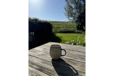 Haus Pietje am Ijsselmeer in Andijk