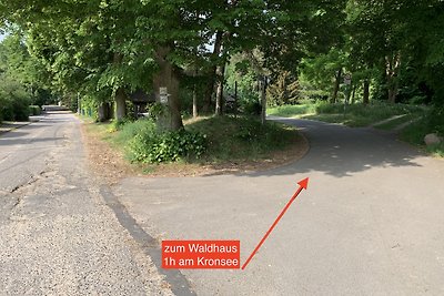 Waldhaus am Kronsee