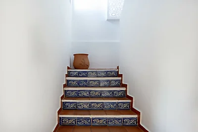 Casa Zélia