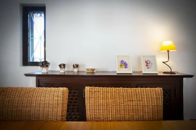 Casa Zélia