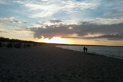 Darssurlaub-Prerow
