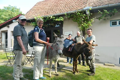 La Curtea Richvini
