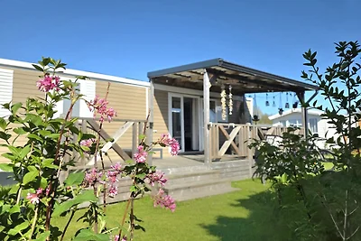 Chalet Seashell Renesse