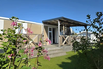 Chalet Seashell Renesse