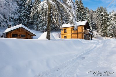 2. Chalet traditionnel en pleine nature, 8 p,...