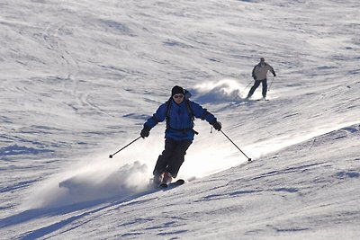 1. Superbe chalet traditionnel en lisière de...