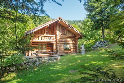 8. BA Magnifique chalet rondins 130m², 4ch,...