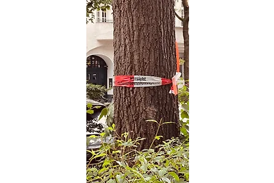 Casa per Test