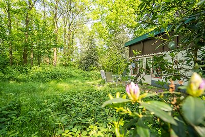 Waldhaus im Wald